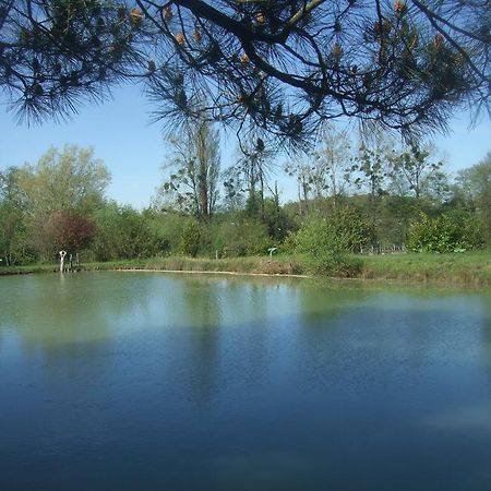 Gite Le Chardon Fleuri Villa Teuillac Luaran gambar